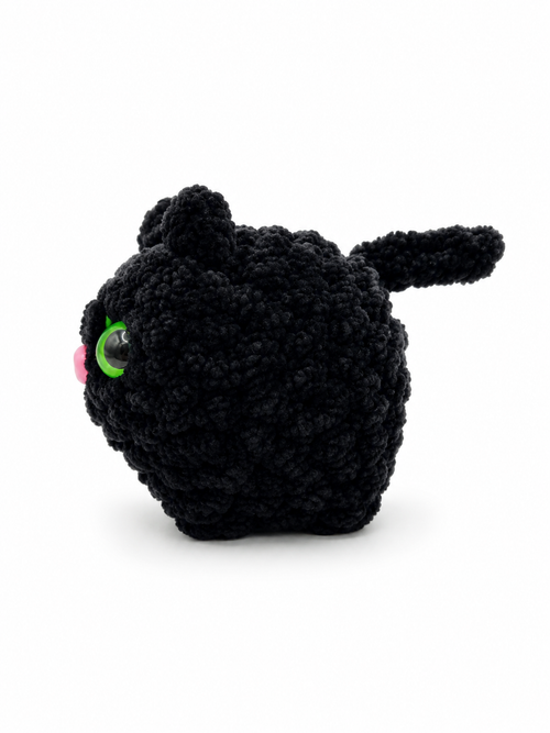 Black Cat